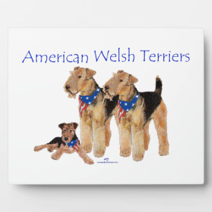 American Welsh Terriers Fotoplatte
