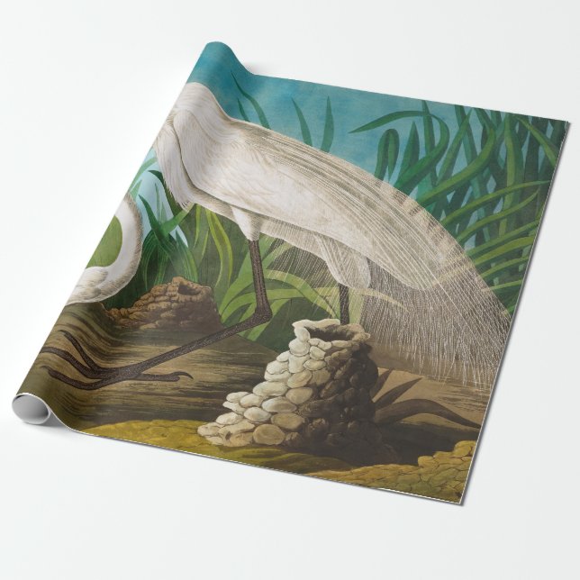 American White Heron von John James Audubon Geschenkpapier (Ungerollt)