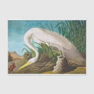 American White Heron von John James Audubon Seidenpapier