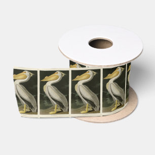 American White Pelican, Audubon's Birds of America Satinband