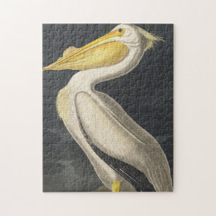 American White Pelican from Birds of America Puzzle