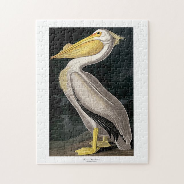 American White Pelican John James Audubon 11 x 14 Puzzle (Vertikal)