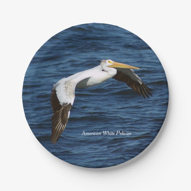 American White Pelican Paper Platte Pappteller (Vorderseite)