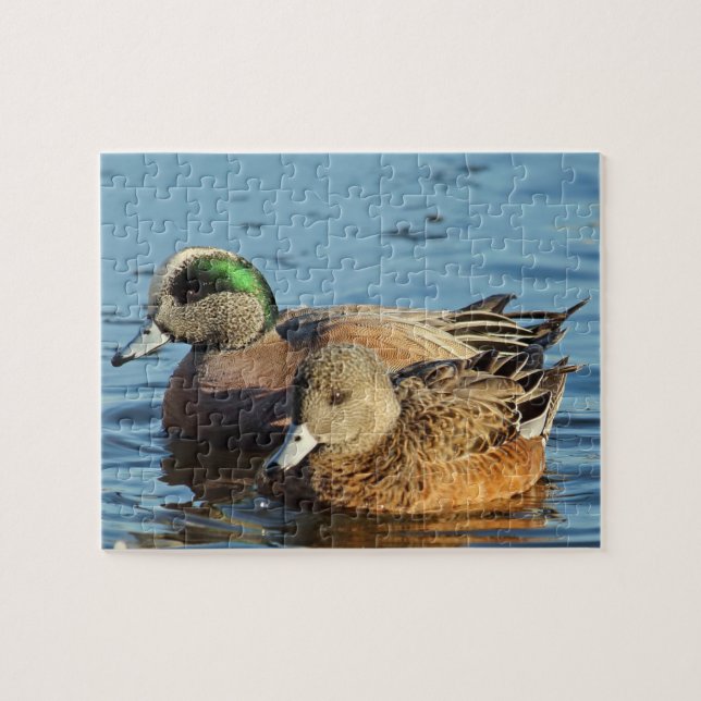 American Widgeon Encks (Drake und Hen) Puzzle (Horizontal)