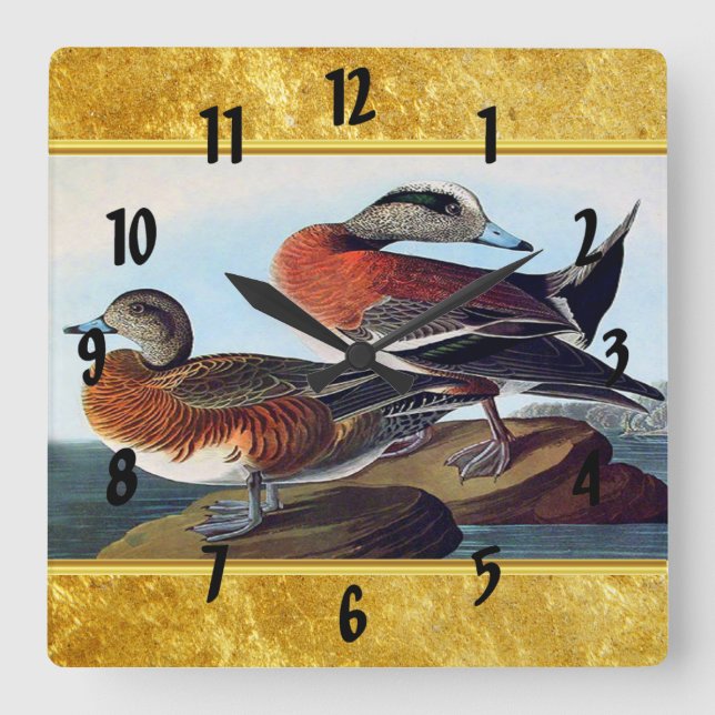 American Widgeon Enten auf Felsen Quadratische Wanduhr (Vorderseite)