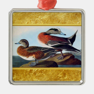 American Widgeon Enten auf Felsen Silbernes Ornament