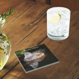 American Widgeon Wildlife Foto Glasuntersetzer