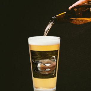 American Wigeon Duck on Pond Glas