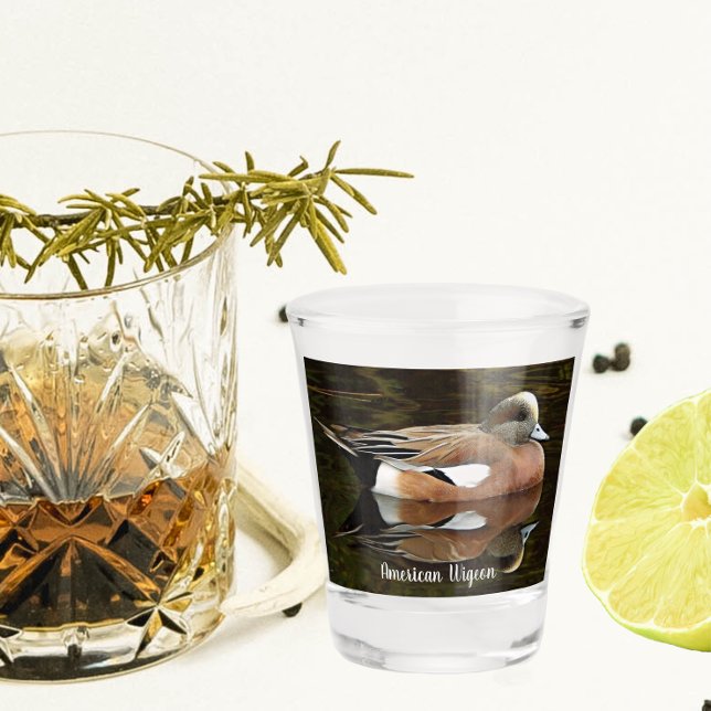 American Wigeon Duck on Pond Schnapsglas (In Situ)