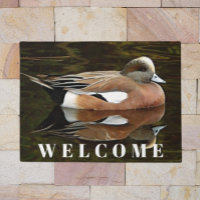 American Wigeon Duck on Pond Willkommen