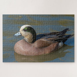 American Wigeon Puzzle