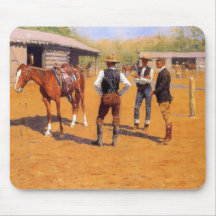 American Wild West Polo Ponies