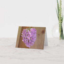 American wisteria (Wisteria frutescens) card Feiertagskarte