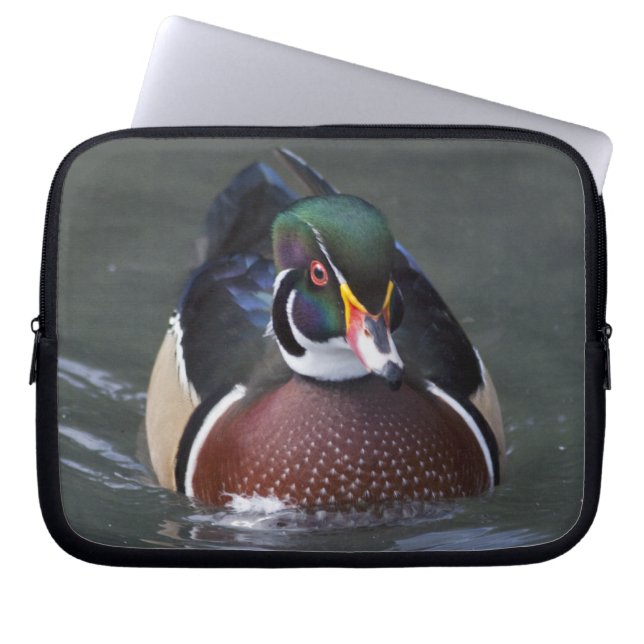 American Wood Duck Laptop Sleeve (Vorderseite)