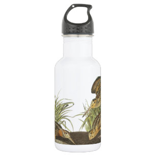 American Woodcock von Audubon Trinkflasche