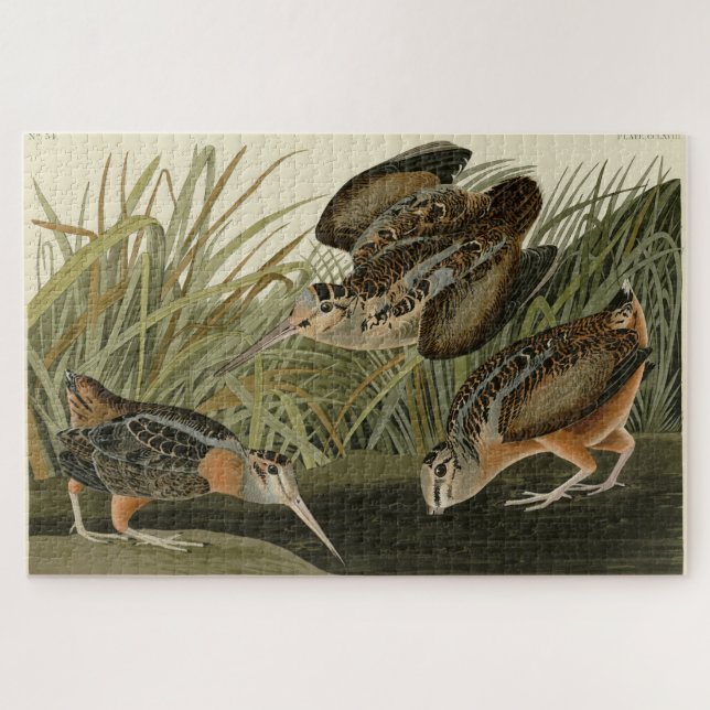 American Woodcock von Audubons Vögeln von Amerika Puzzle (Horizontal)