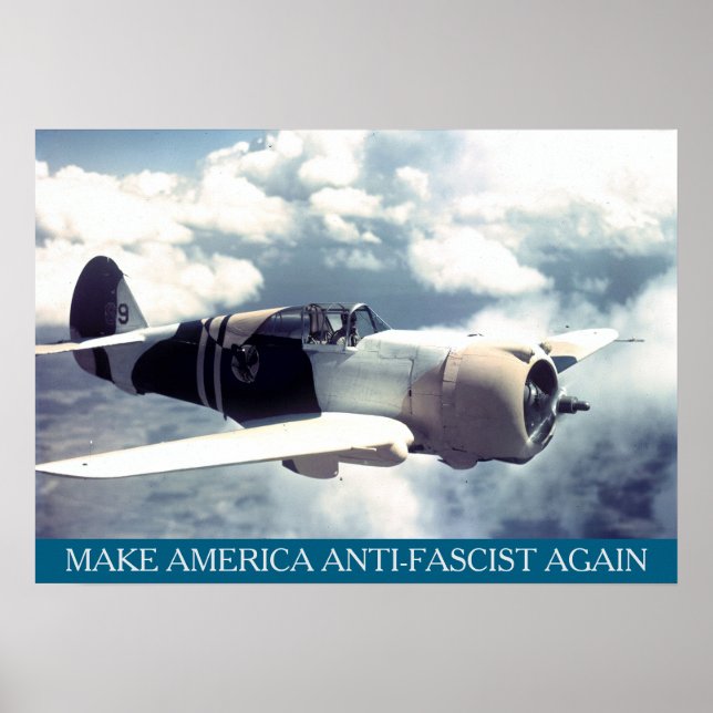 American WWII Plane MAAFA Poster (Vorne)
