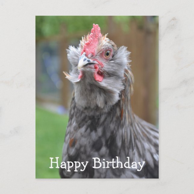Americana Rooster Happy Birthday Postkarte (Vorderseite)