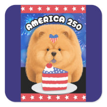 AMERIKA 250  Rotes Chow-Chow