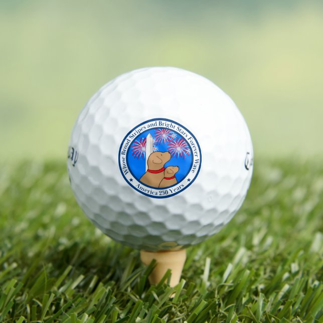 Amerika 250 Sonderausgabe DC Golfball (Insitu T-Shirt)