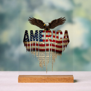 Amerika Grunge-Flagge und Adler Acrylschild