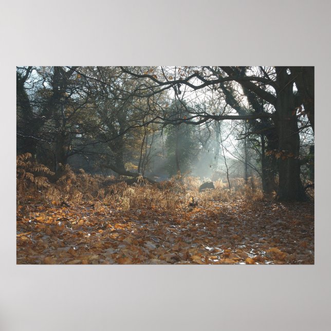 Amerika-Holz Poster (Vorne)