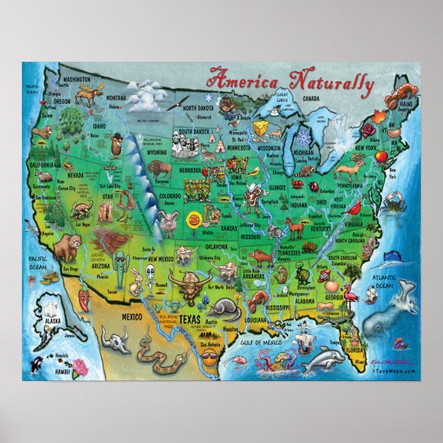 Amerika Naturally Fun Map Poster (Vorne)