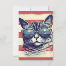 Amerika, Patriotische Amerikanische Katze