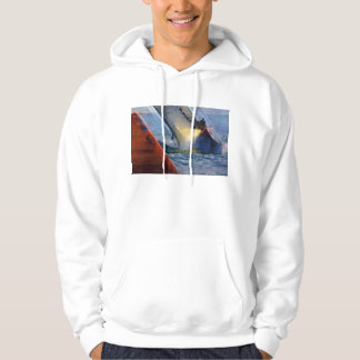 Amerikas Cup, Valencia Spanien 2007, Team neues Hoodie