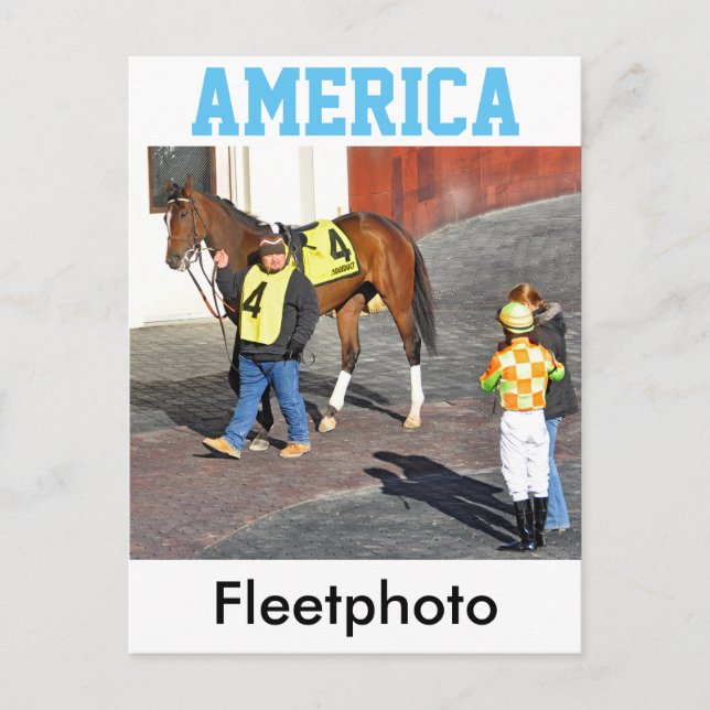 Amerika von AP Indy Postkarte (Vorderseite)