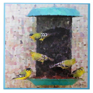 AMERIKAN GOLDFINCH TILE FLIESE