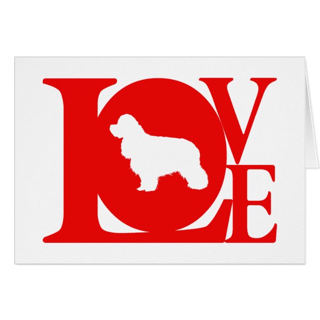 Amerikaner Cocker spaniel (Vorderseite (Horizontal))