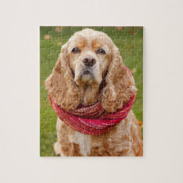 Amerikaner Cocker spaniel draußen am Herbst-Tag Puzzle