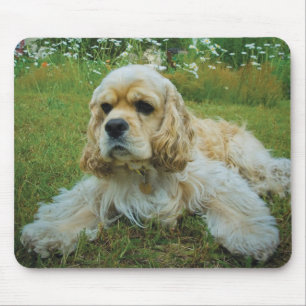 Amerikaner-Cocker spaniel-Hund Mousepad