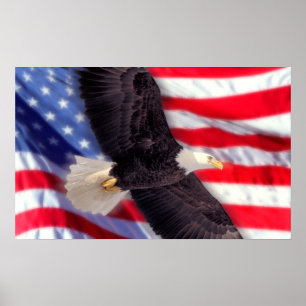 Amerikaner Eagle mit amerikanischer Flagge Poster