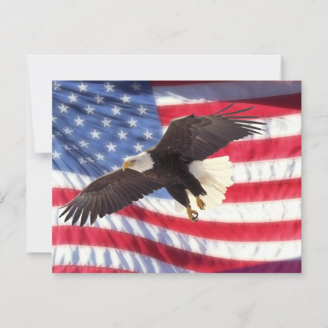 Amerikaner Eagle u. Flagge-Einladung Einladung (Vorderseite)