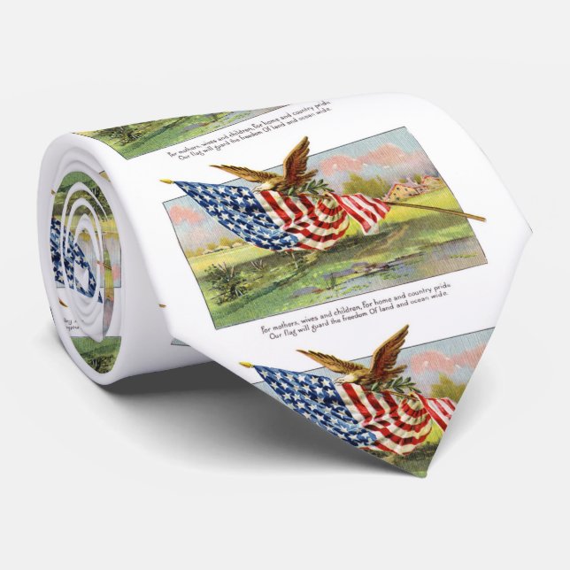 Amerikaner Eagle und Flagge Krawatte (Gerollt)