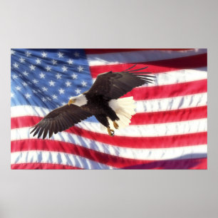 Amerikaner Eagle und Flaggen-Plakat Poster