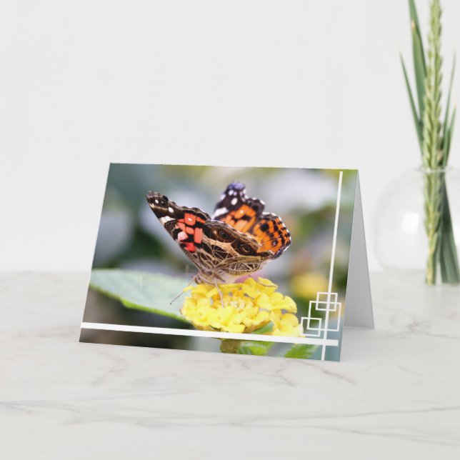 Amerikaner gemalte Dame Butterfly Blank Notecard Karte (Vorderseite)