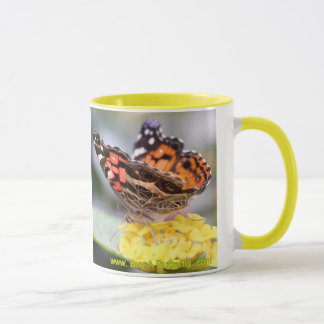 Amerikaner gemalte Dame Butterfly Lifecycle Coffee Tasse