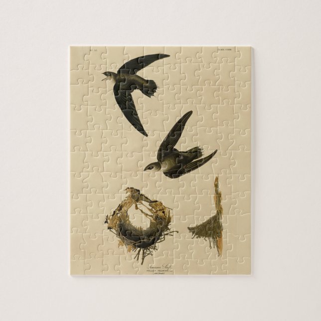 Amerikaner (Kamin) Swift Audubon, Vögel von Amerik Puzzle (Vertikal)