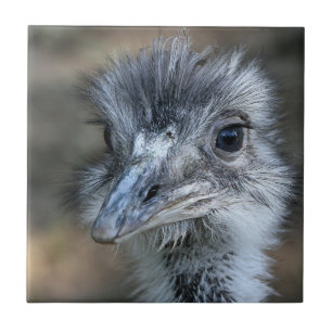 Amerikaner-Rhea-Porträt Fliese