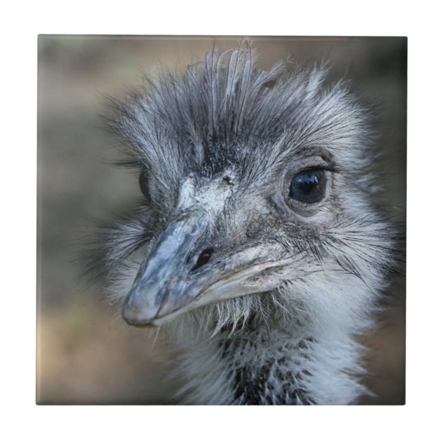 Amerikaner-Rhea-Porträt Fliese (Vorderseite)