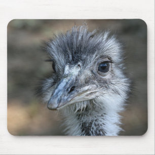 Amerikaner-Rhea-Porträt Mousepad