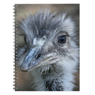 Amerikaner-Rhea-Porträt Notizblock