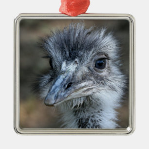 Amerikaner-Rhea-Porträt Silbernes Ornament