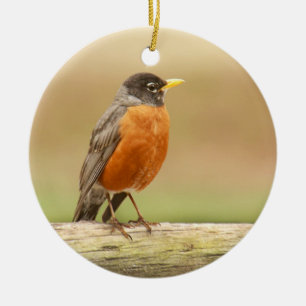 Amerikaner Robin stehend Keramik Ornament