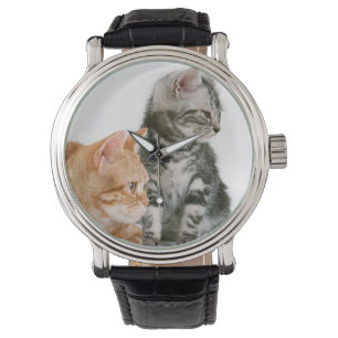Amerikaner Shorthair Armbanduhr