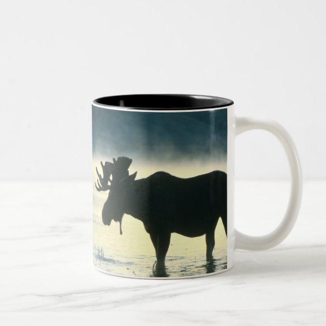 Amerikaner-Stier-Elche Zweifarbige Tasse (Rechts)