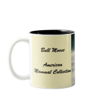 Amerikaner-Stier-Elche